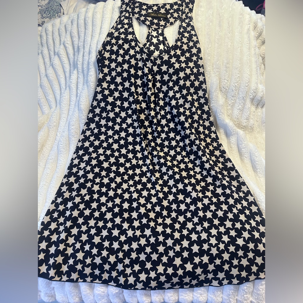 Alisha Levine 100% Silk Dress.